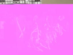 K06